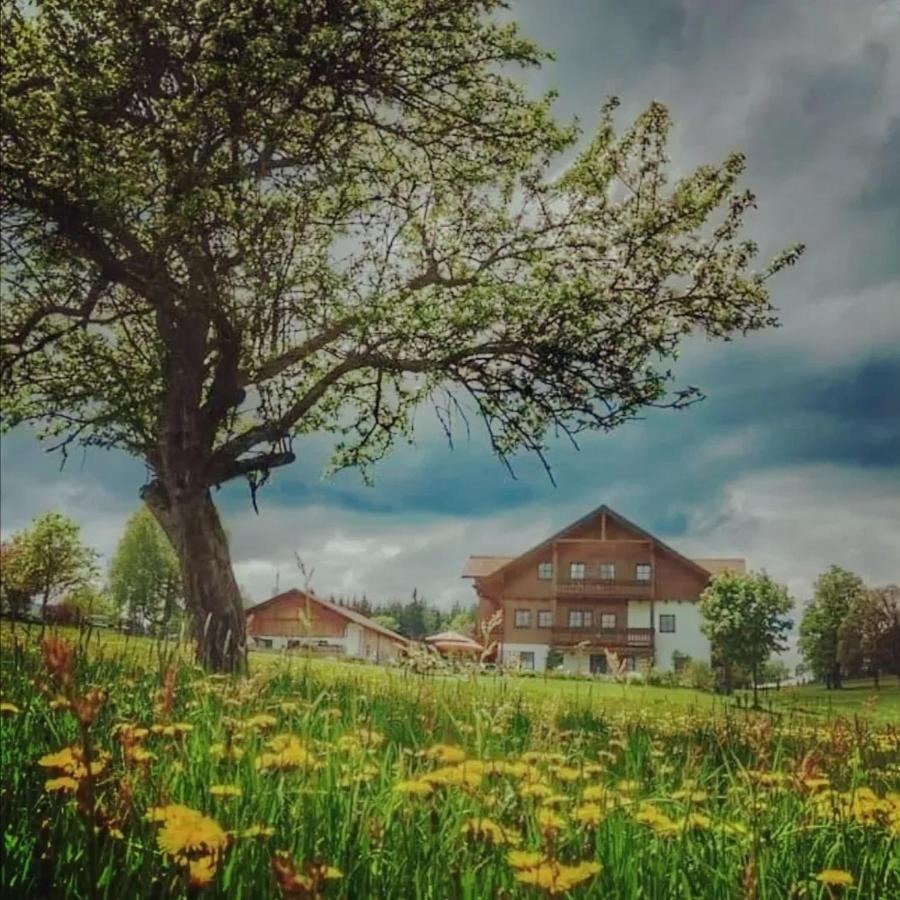 람자우 암 다흐스타인 Biobauernhof Brandlhof 아파트 외부 사진